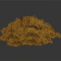 Lush Golden Shrub Like Plant With Dense Foliage And Decorative Structure