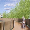 Scenic Landscape Bridge With Winding Wooden Structure Among Green Bamboo Groves And Grassland