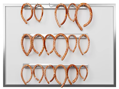 Neatly Arranged Multiple Rows of Sausages Hanging on Wall 3d model