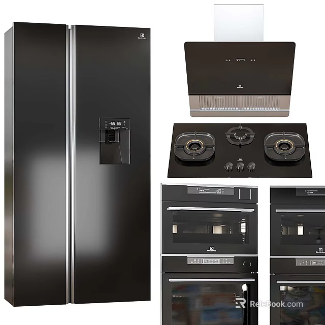 Modern High Quality Kitchen Appliances Featuring Refrigerator Range Hood Gas Stove And Ovens 3d model 