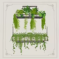 Lush Hanging Basket Plants With Trailing Green Vines For Indoor Wall Decoration