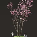 Beautiful Pink Cherry Blossom Tree With Delicate Branches And Flowers 3d model