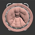 Pink Round Leisure Chair With Metal Frame Padded Seat Modern Design For Comfortable Seating