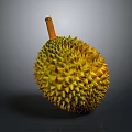 Fresh Whole Yellow Spiky Durian Fruit With Brown Stem On Gray Background