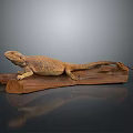 Brown Lizard Resting On Wooden Log Isolated On Dark Background 3d model