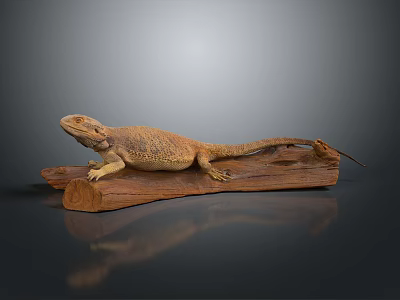 Brown Lizard Resting On Wooden Log Isolated On Dark Background 3d model