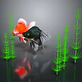 Two Vibrant Goldfish Red And Black Swimming Among Green Aquatic Plants In Underwater Scene