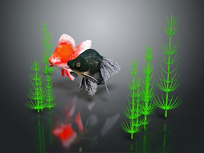 Modern Goldfish Cold Water Fish Gold Grass Gold 3d model