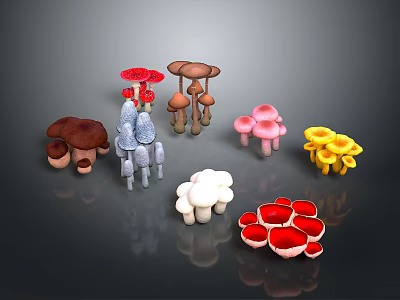 Colorful Various Types Of Mushrooms On Dark Background With Reflections And Arrangement 3d model