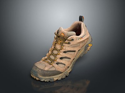 Hiking Boots Hiking Boots Hiking Shoes Travel Shoes Climbing Shoes sneaker Running Shoes Outdoor Shoes 3d model