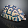 Turtle With Vibrant Blue And Yellow Hexagonal Patterned Shell On Black Background
