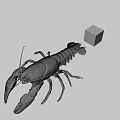 Whole Fresh Lobster Displayed with Colorful Rubik's Cube on Gray Background