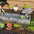Stone Trough Water Feature With Watermelons Potted Plants And Bamboo Fence
