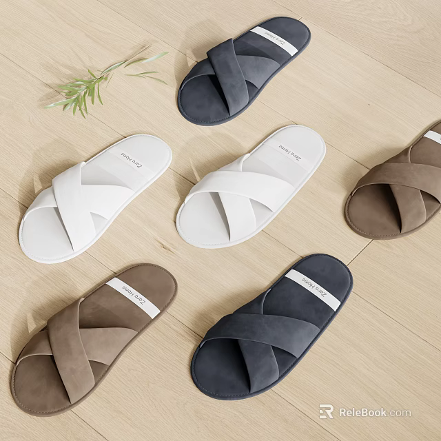 Crisscross Strap Slippers in White Navy and Brown on Wooden Floor with Green Plant 3d model 