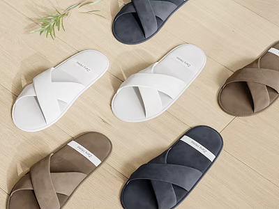 Crisscross Strap Slippers in White Navy and Brown on Wooden Floor with Green Plant 3d model