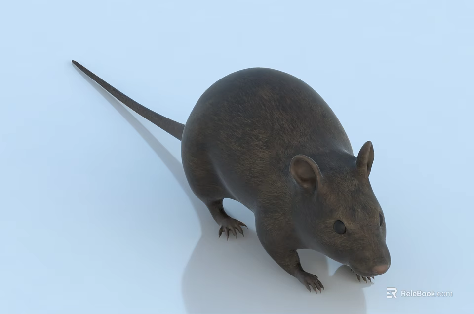 Realistic Brown Reptile 3D Model On Light Blue Background With Reflection 3d model