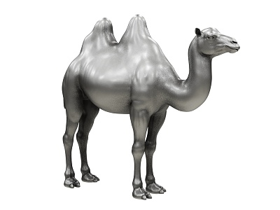 Camel 3d model