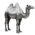 Camel 3d model