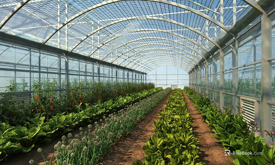 Durable Sunshade Structure For Greenhouse With Transparent Roof And Organized Vegetable Beds 3d model 
