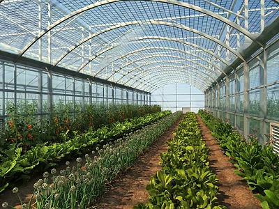 Durable Sunshade Structure For Greenhouse With Transparent Roof And Organized Vegetable Beds 3d model
