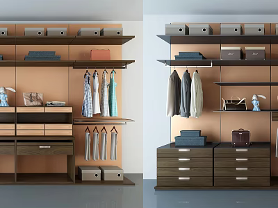 Modern Wardrobe Interior With Shelves Drawers Hangers Storage Boxes And Clothes 3d model
