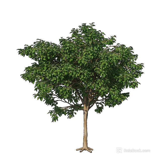 Healthy Arbor With Lush Green Foliage And Straight Trunk In Natural Environment 3d model 