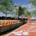 Scenic Municipal Road With Red Path Runners Distance Markers Trees Benches And Trash Bins