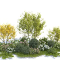 Colorful Garden Shrubs with Yellow Green Trees and Pink White Flowers