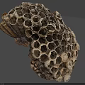 Detailed Natural Honeycomb Structure With Intricate Hexagonal Cells And Textured Surface