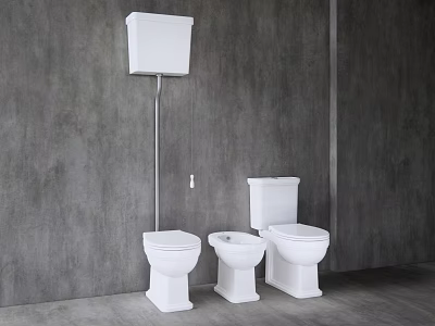 Modern White Toilets In Bathroom With Gray Wall Background And Simple Design 3d model