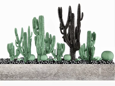 Cactus Bonsai Potted Plants Featuring Various Shapes Black Cactus And Small Stones In Concrete Container 3d model