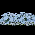 Snow Covered Green Leafy Plants With White Snow On Leaves