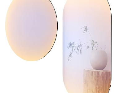 Modern Oval Mirror Design With Potted Plant Vase And Wooden Stump 3d model