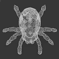 Brown Spider Like Creature 3D Model with Large Eyes Sharp Fangs and Multiple Legs