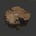 Natural Wooden Stump Featuring Rich Grain Texture And Polished Surface Design