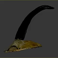 Unique Animal Skull With Long Curved Dark Horns On Gray Background