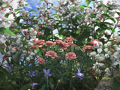 Vibrant Garden Flowers And Plants With White Pink Purple Blooms And Green Leaves 3d model