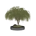 Modern Tree Pool Landscape Tree 3d model