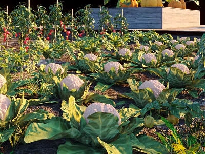 Lush Vegetable Garden With Cauliflower And Various Crops 3d model