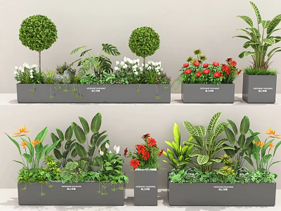 Indoor Decorative Plant Combination With Lush Green Foliage And Colorful Flower Accents 3d model