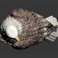 Eagle Sculpture Standing On Rock Base With White Head Brown Body White Tail 3d model