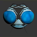 Glossy Blue Metallic Beetle Close Up View With Symmetrical Segmented Carapace