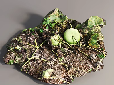 Vines With Green Fruits Lush Leaves and Tangled Stems on Rich Soil 3d model