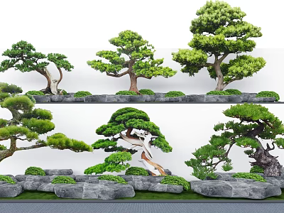 Sculpted Arbor Varieties In Garden Landscape With Stone And Green Moss 3d model