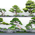 Sculpted Arbor Varieties In Garden Landscape With Stone And Green Moss