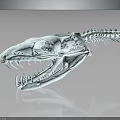 Detailed Animal Organ Skeleton Skull With Sharp Teeth And Blue Accents On Dark Background