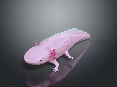 Pink Axolotl with Feathery External Gills and Smooth Skin on Dark Reflective Surface 3d model