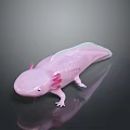 Pink Axolotl with Feathery External Gills and Smooth Skin on Dark Reflective Surface