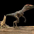 Red Headed Gray Body Reptile Dinosaur Standing On Rocky Ground With Tree Stump
