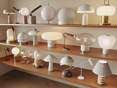Collection Of Modern Table Lamps With Various Shapes And Materials On Wooden Shelves 3d model